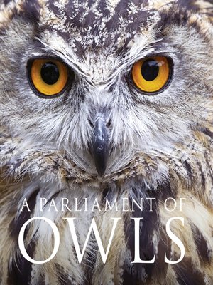 cover image of A Parliament of Owls